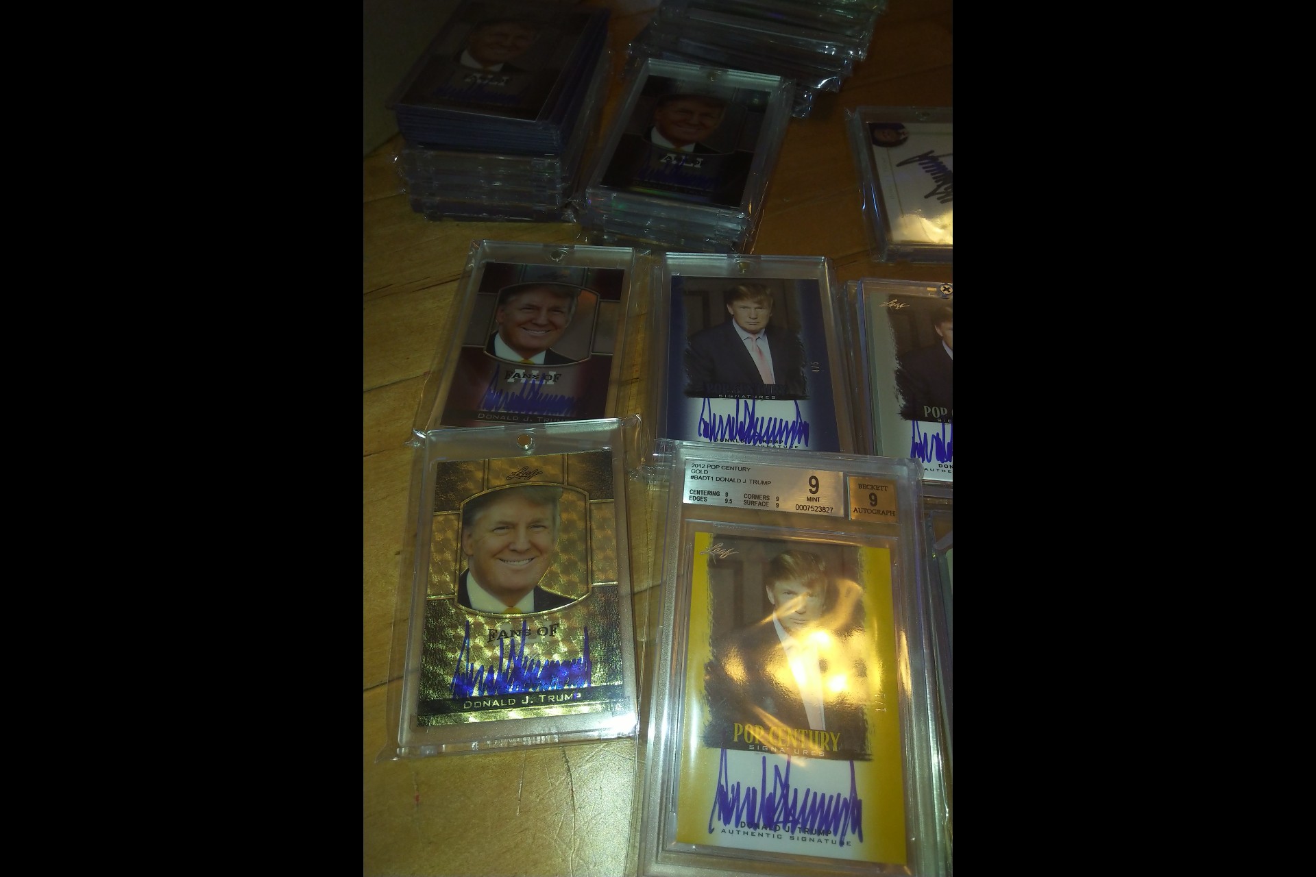 trump collectionxx